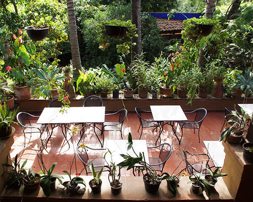 Orchidelirium Casa Hotel & Salud Estetica 4*