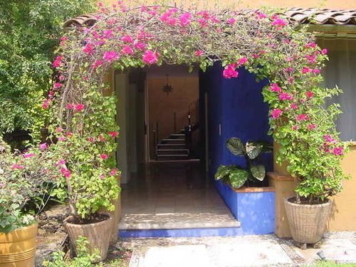Orchidelirium Casa Hotel&salud Estética Cuernavaca