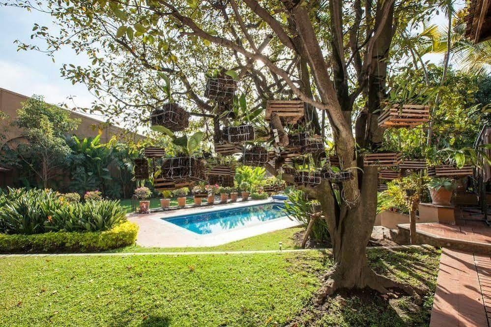 Orchidelirium Casa Hotel&salud Estética Hotel 4*