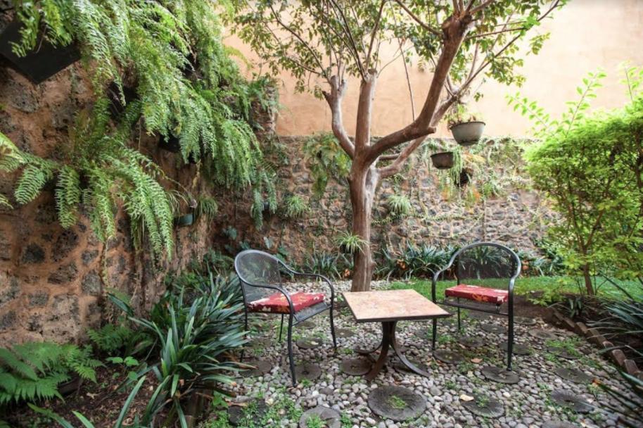 Orchidelirium Casa Hotel&salud Estética Hotel 4*